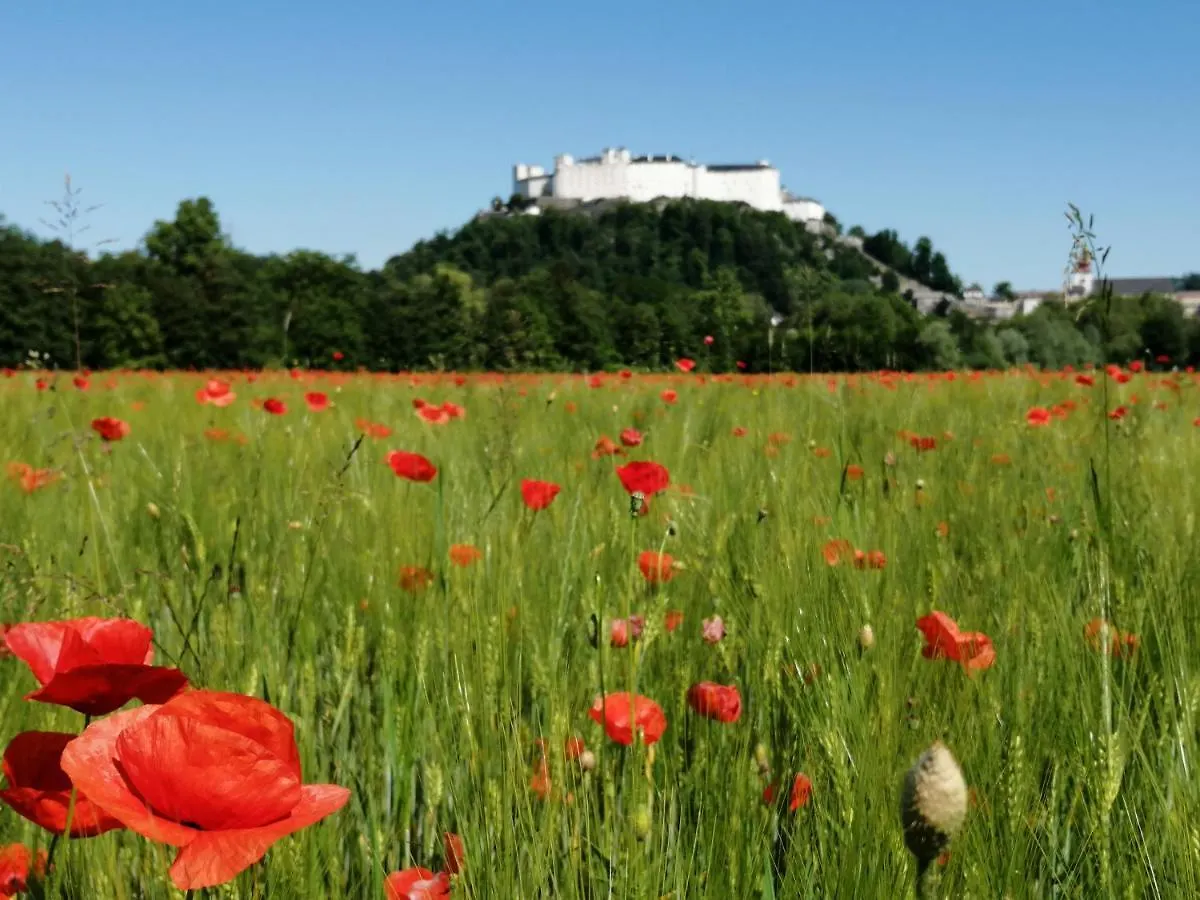 Pension Katrin Salzburg Austria